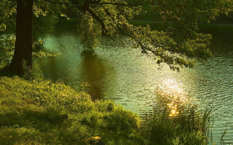 Sunlight on Lake Water — Green