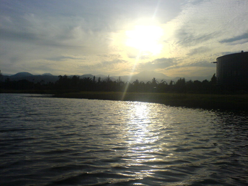 Sunlight on Lake Water