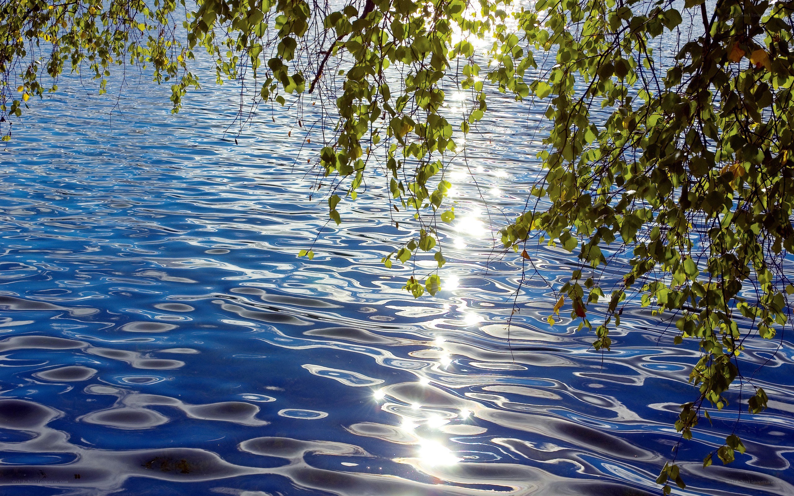 Sunlight on rippling water