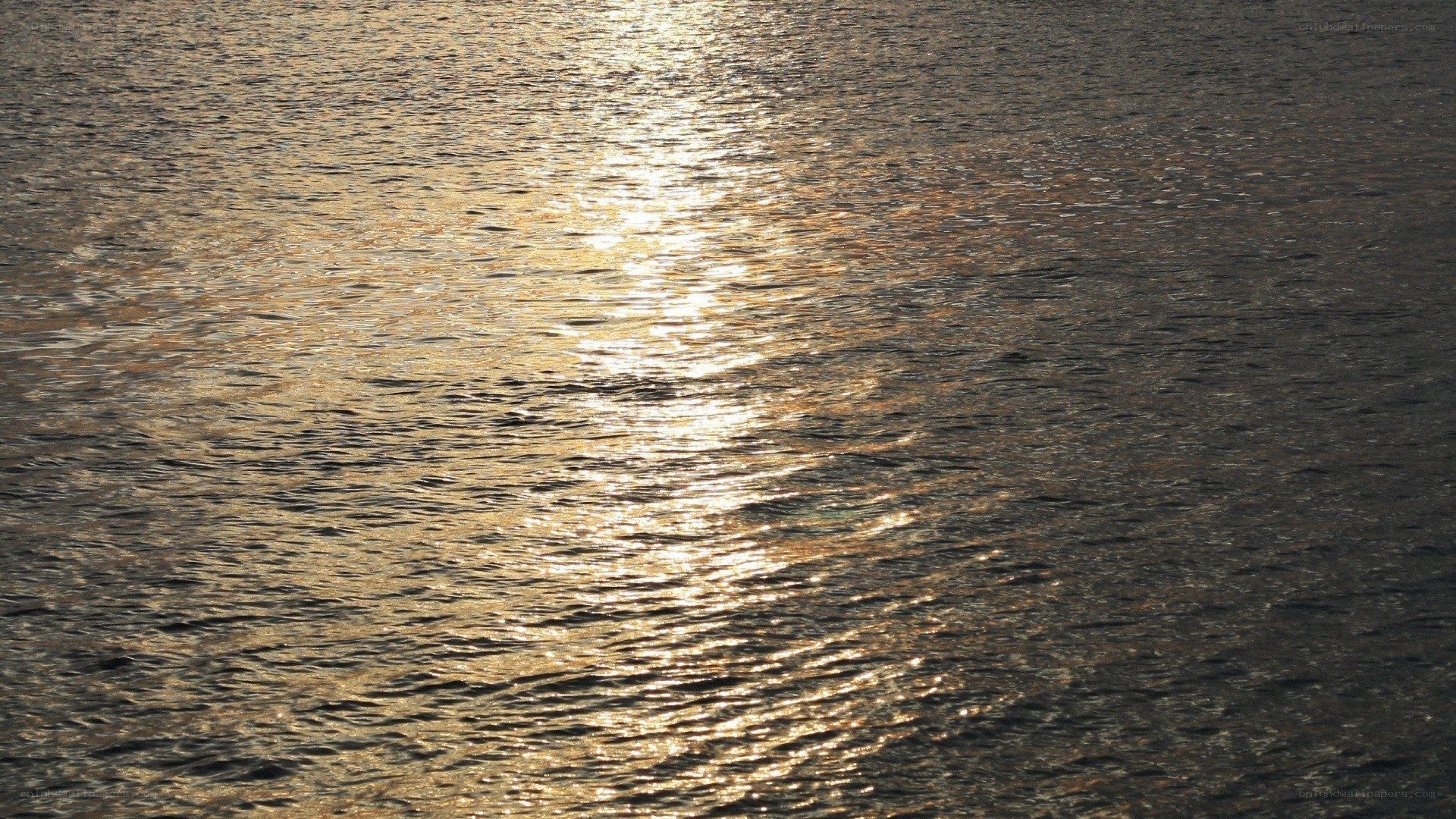 Sunlight on rippling water