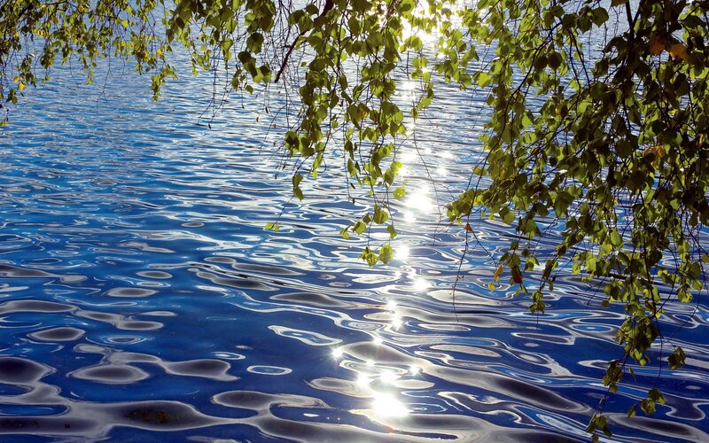 Sunlight on rippling water