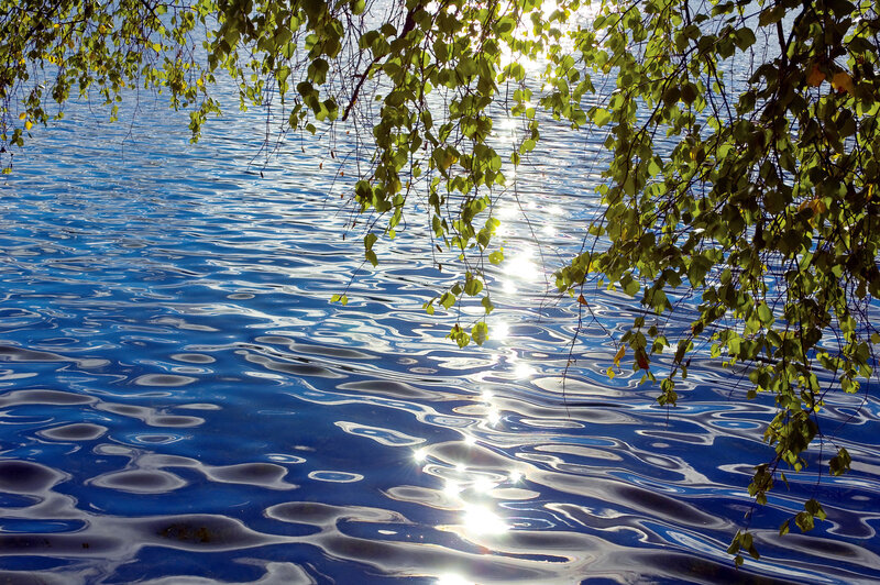 Sunlight on rippling water