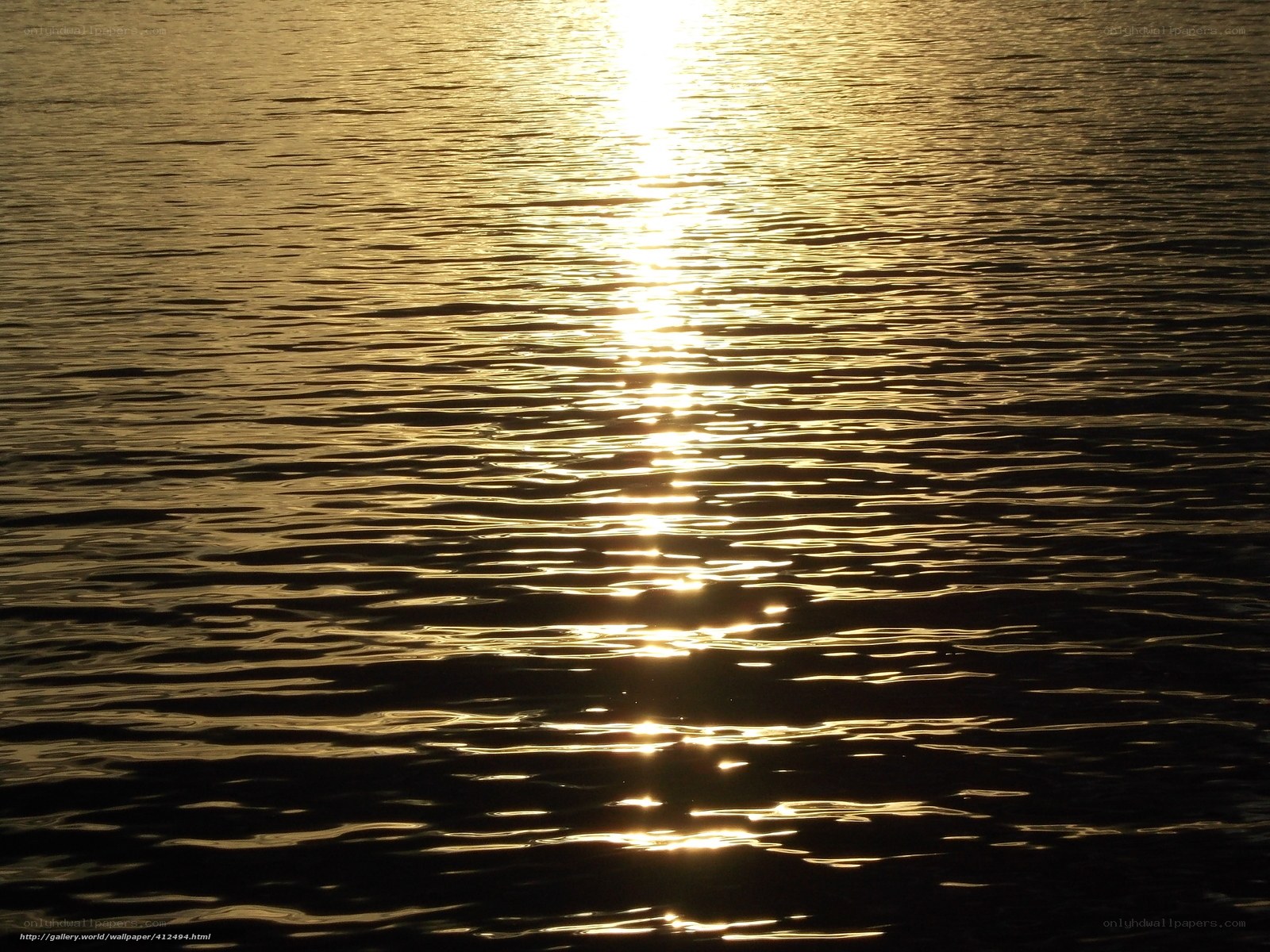 Sunlight on rippling water
