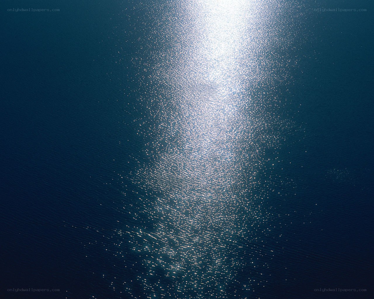 Sunlight on rippling water