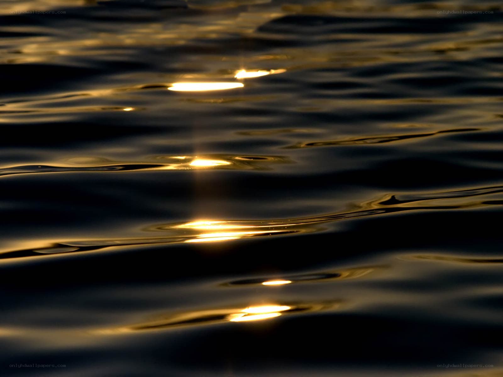 Sunlight on rippling water