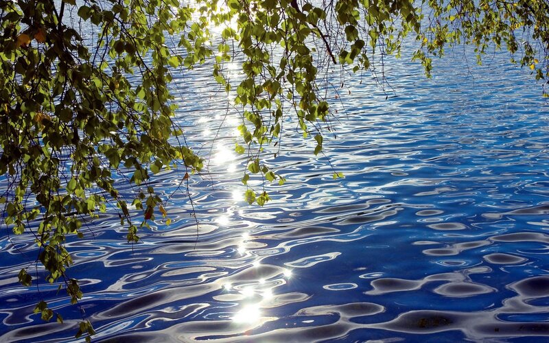 Sunlight on Rippling Water — Blue, Serene, Afternoon, Photograph, Leaves, Branches, Green
