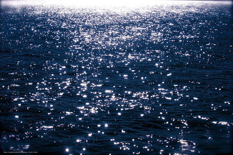 Sunlight on rippling water