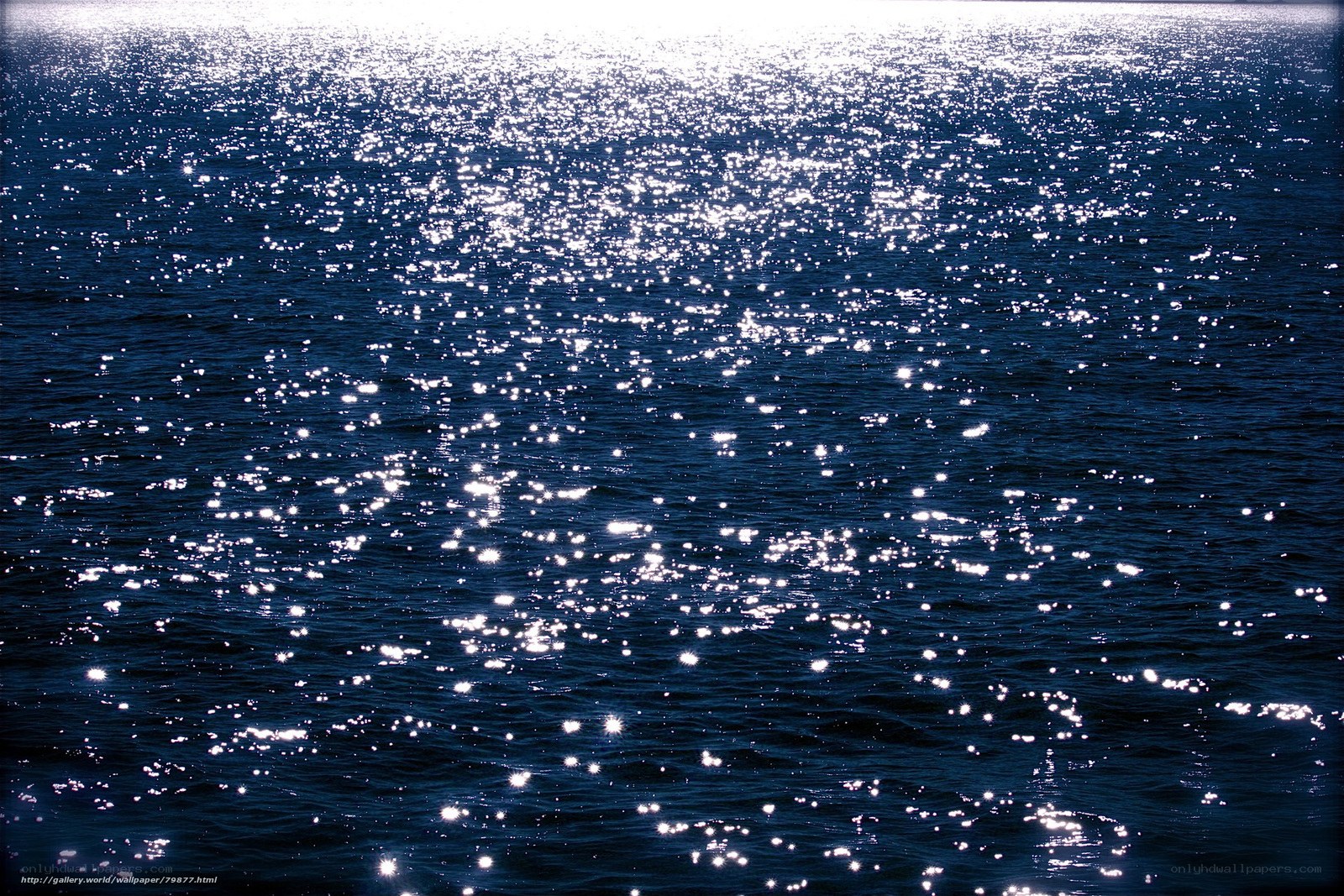 Sunlight on rippling water