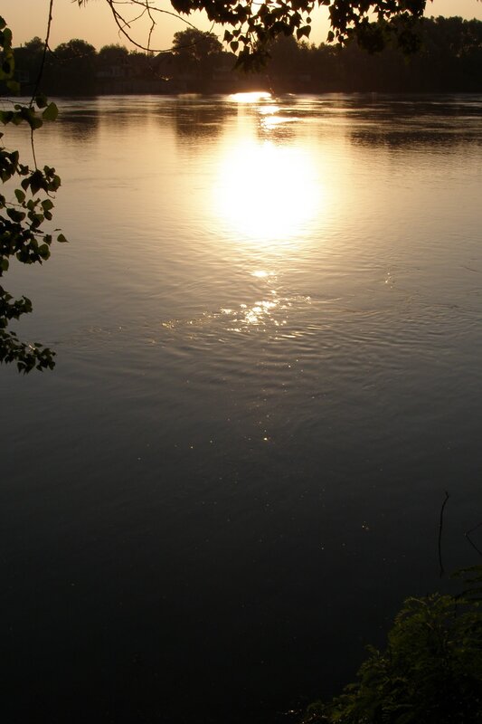 Sunlight on River Water — Gold