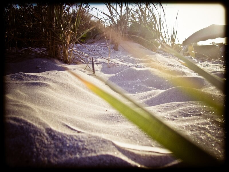 Sunlight on sandy dunes