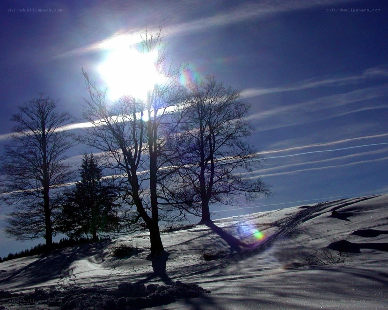 Sunlight on snowy hill
