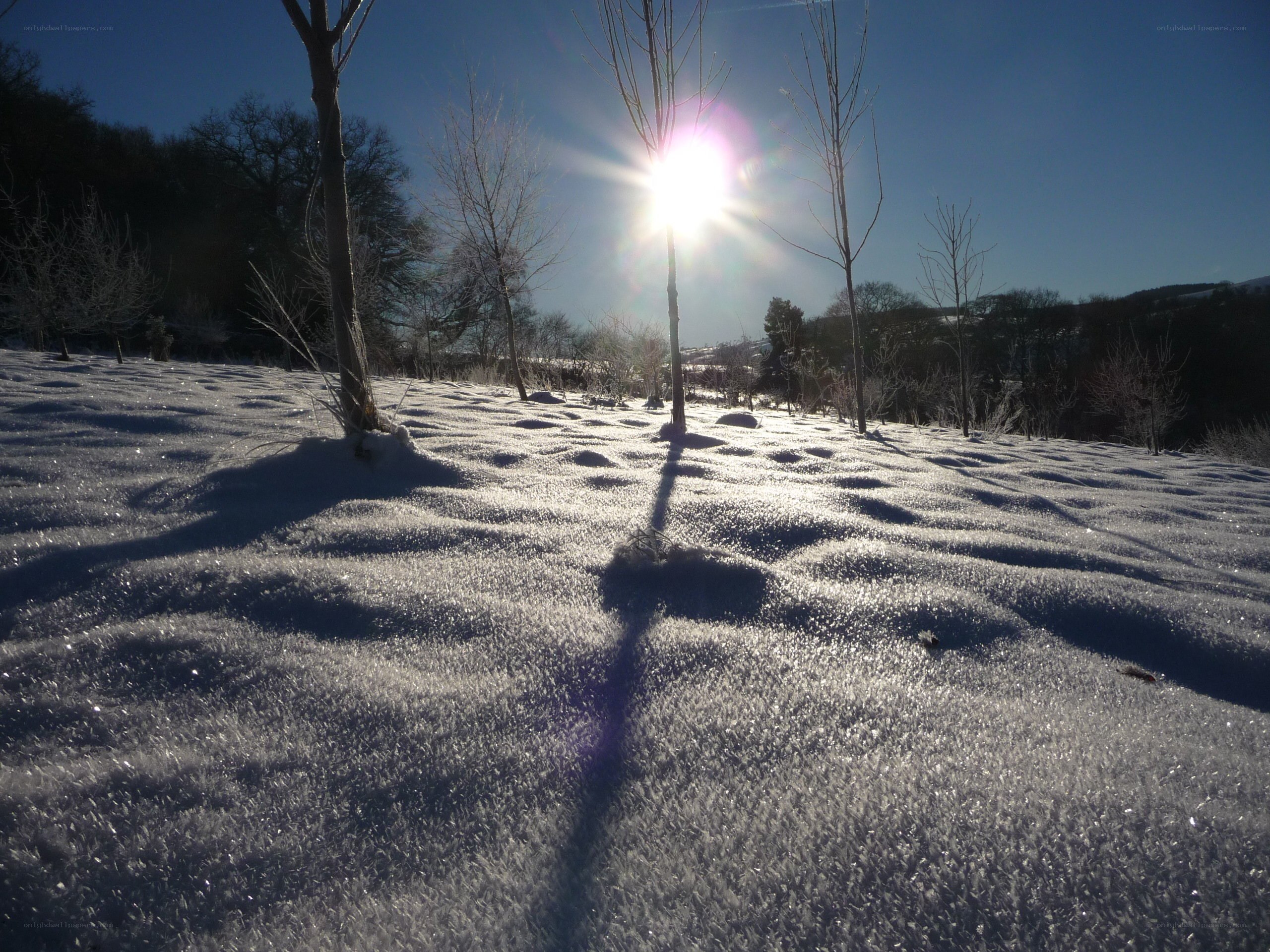Sunlight on snowy landscape