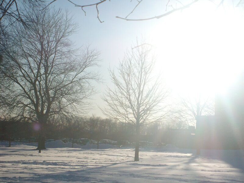 Sunlight on snowy park