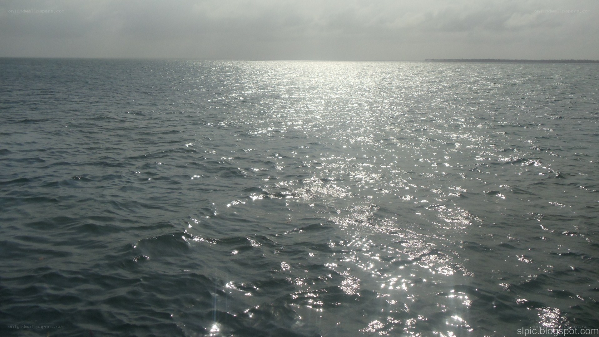 Sunlight on the ocean surface