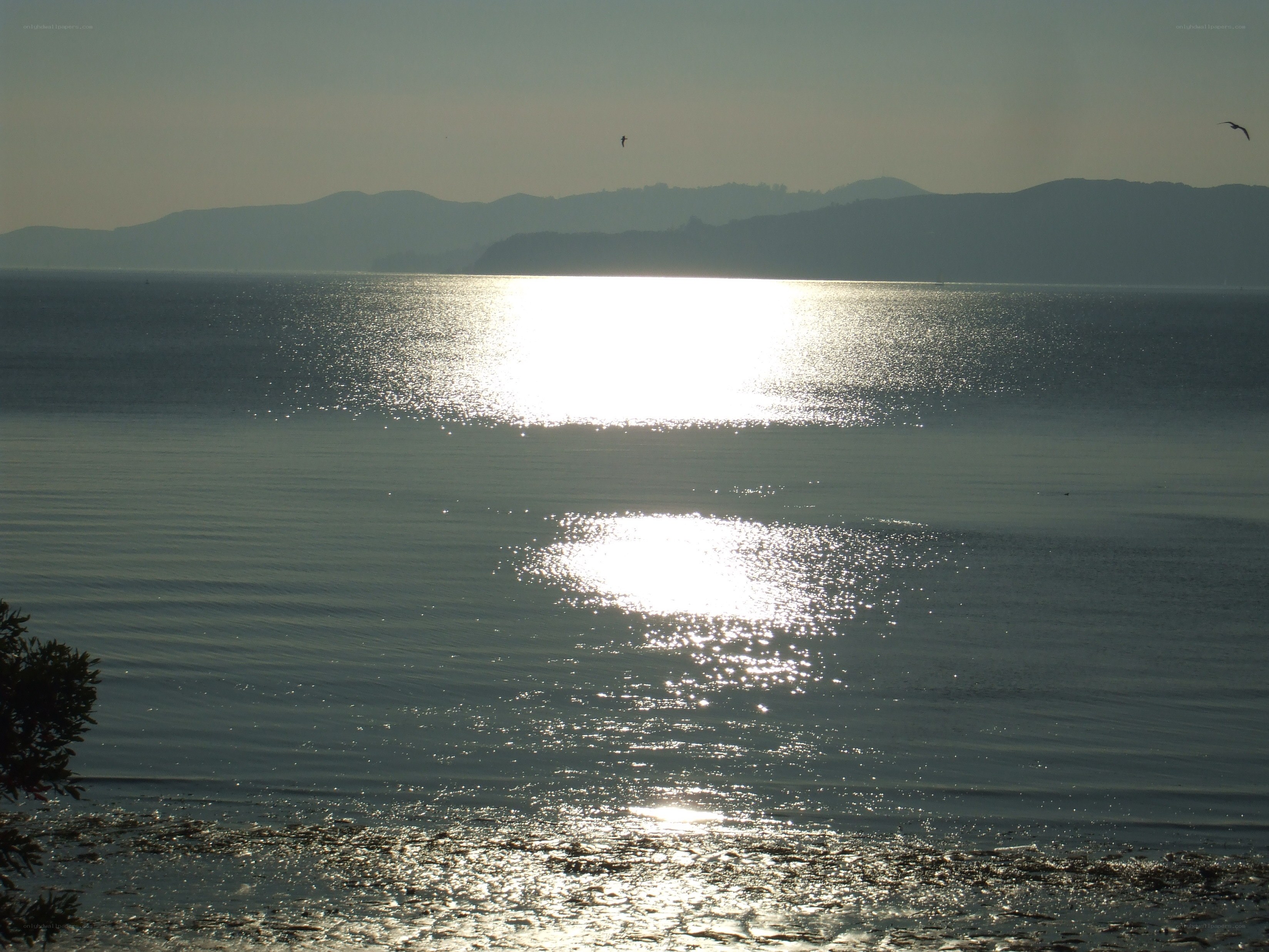 Sunlight on the water