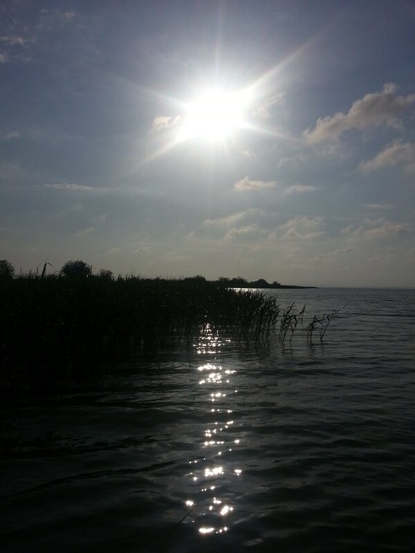 Sunlight on the water