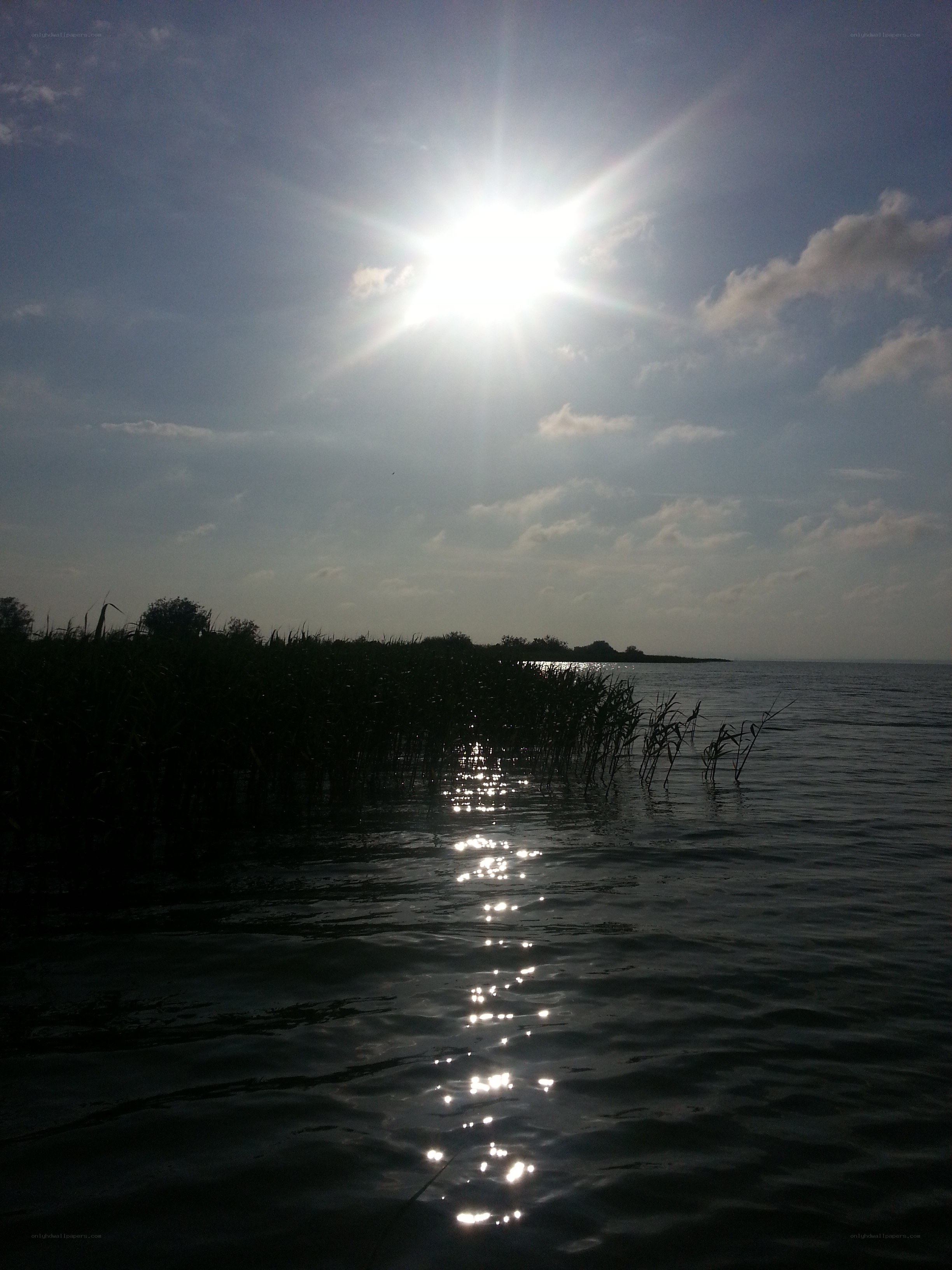 Sunlight on the water