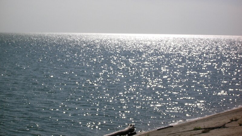 Sunlight on the water