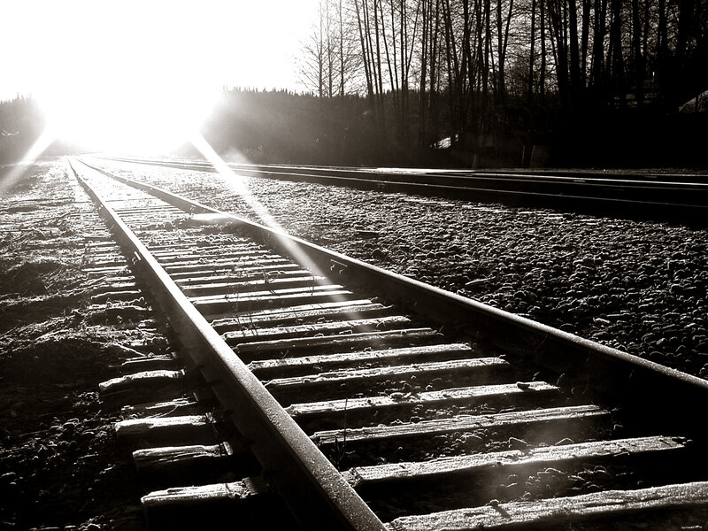 Sunlight on train tracks