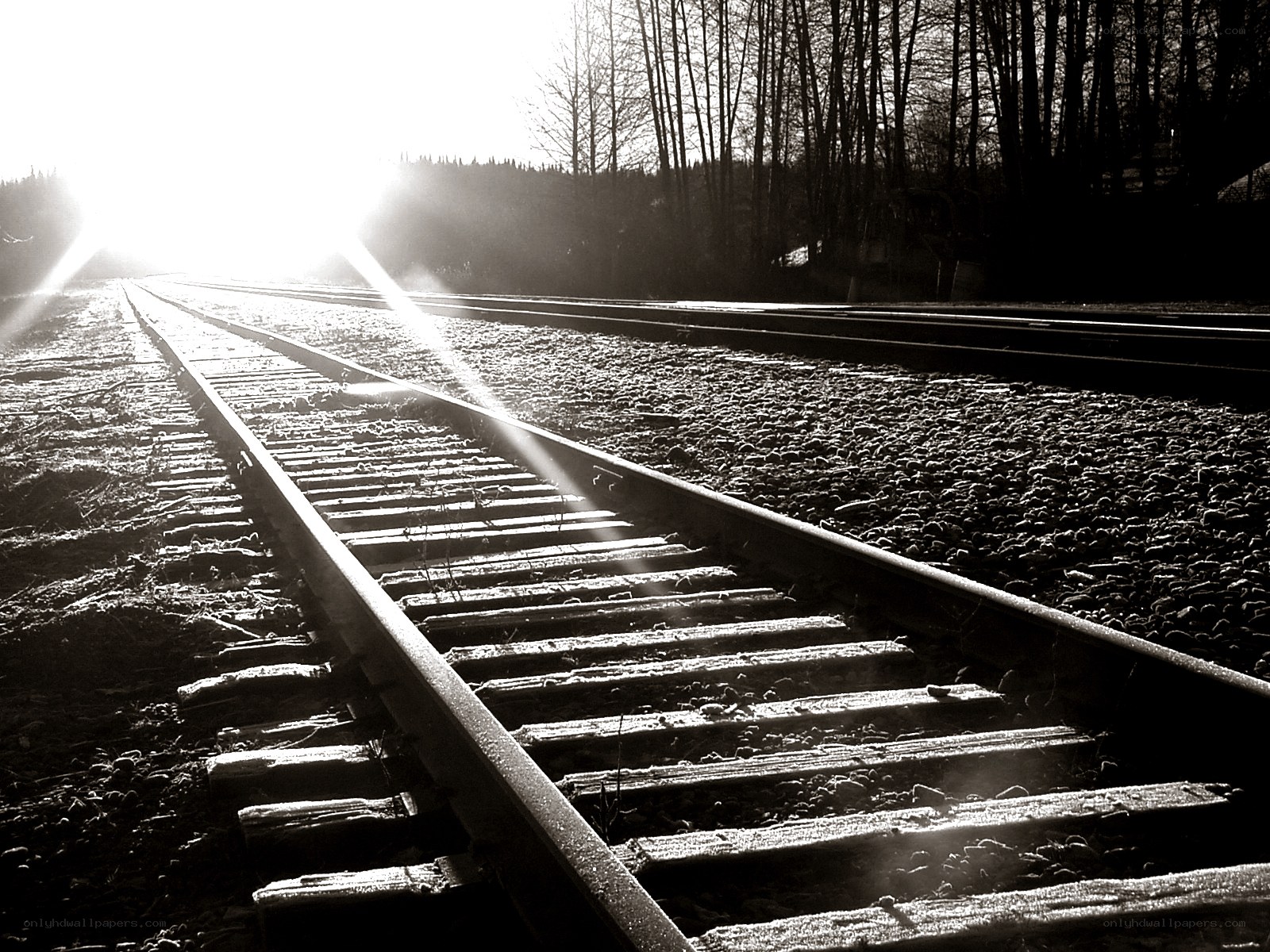 Sunlight on train tracks