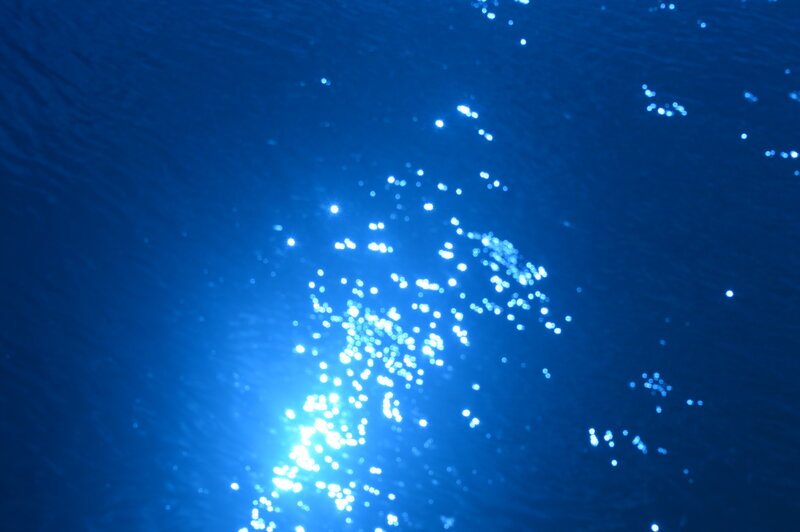 Sunlight on Water Surface — Blue, Calm, Daytime