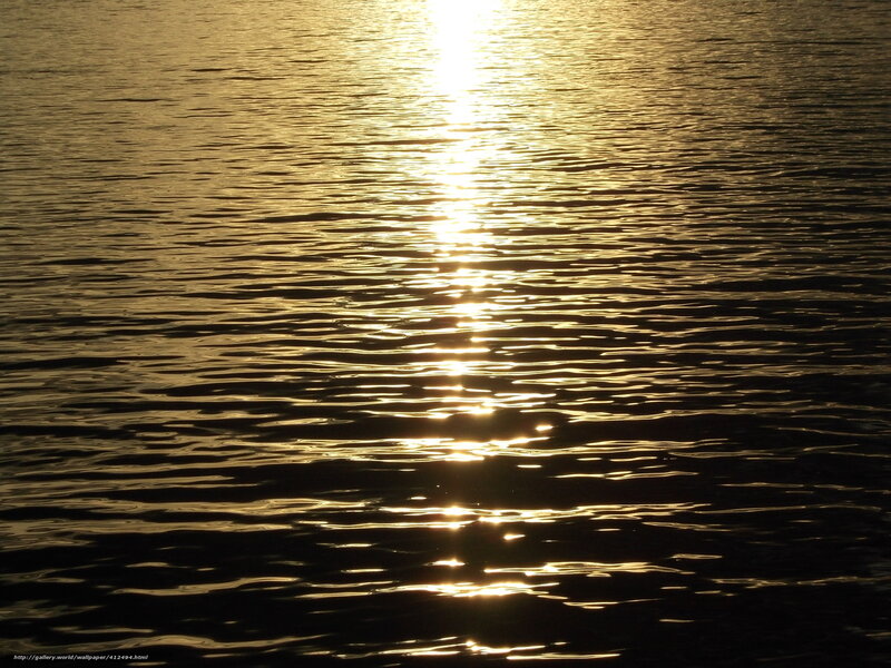 Sunlight on Water Surface — Gold, Serene, Sunset