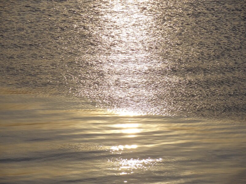 Sunlight on Water Surface — Gold