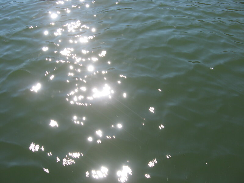 Sunlight on Water Surface — Green