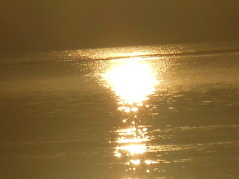 Sunlight on Water