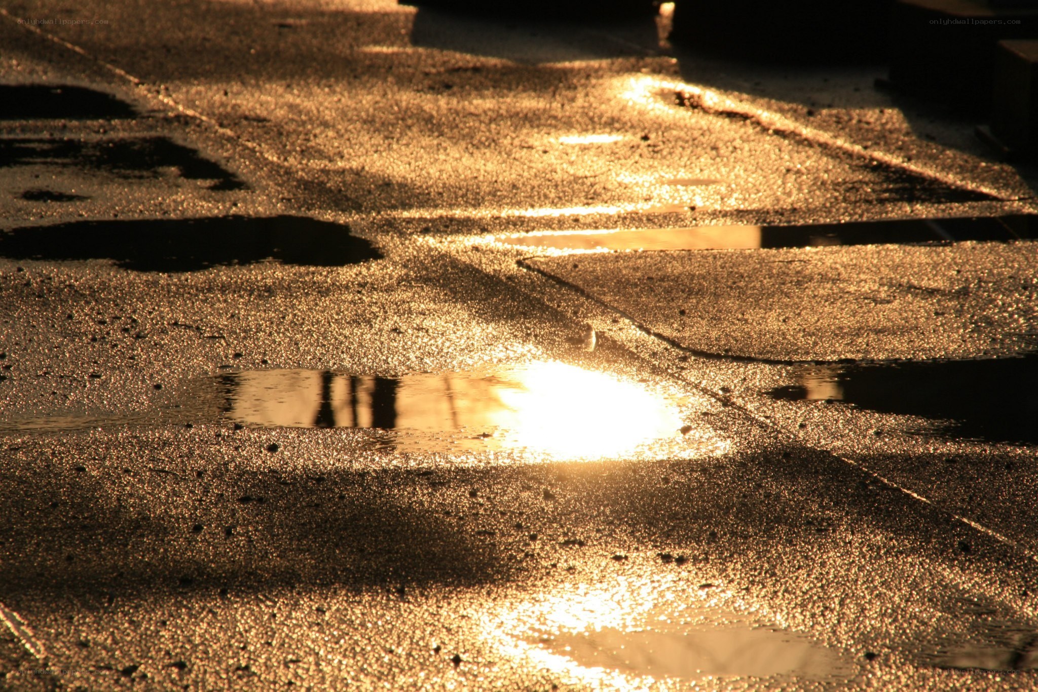 Sunlight on wet pavement