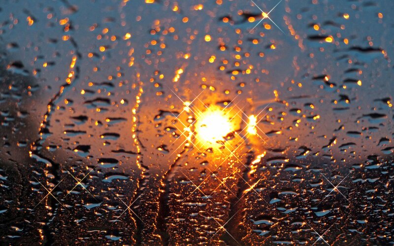 Sunlight on Wet Surface