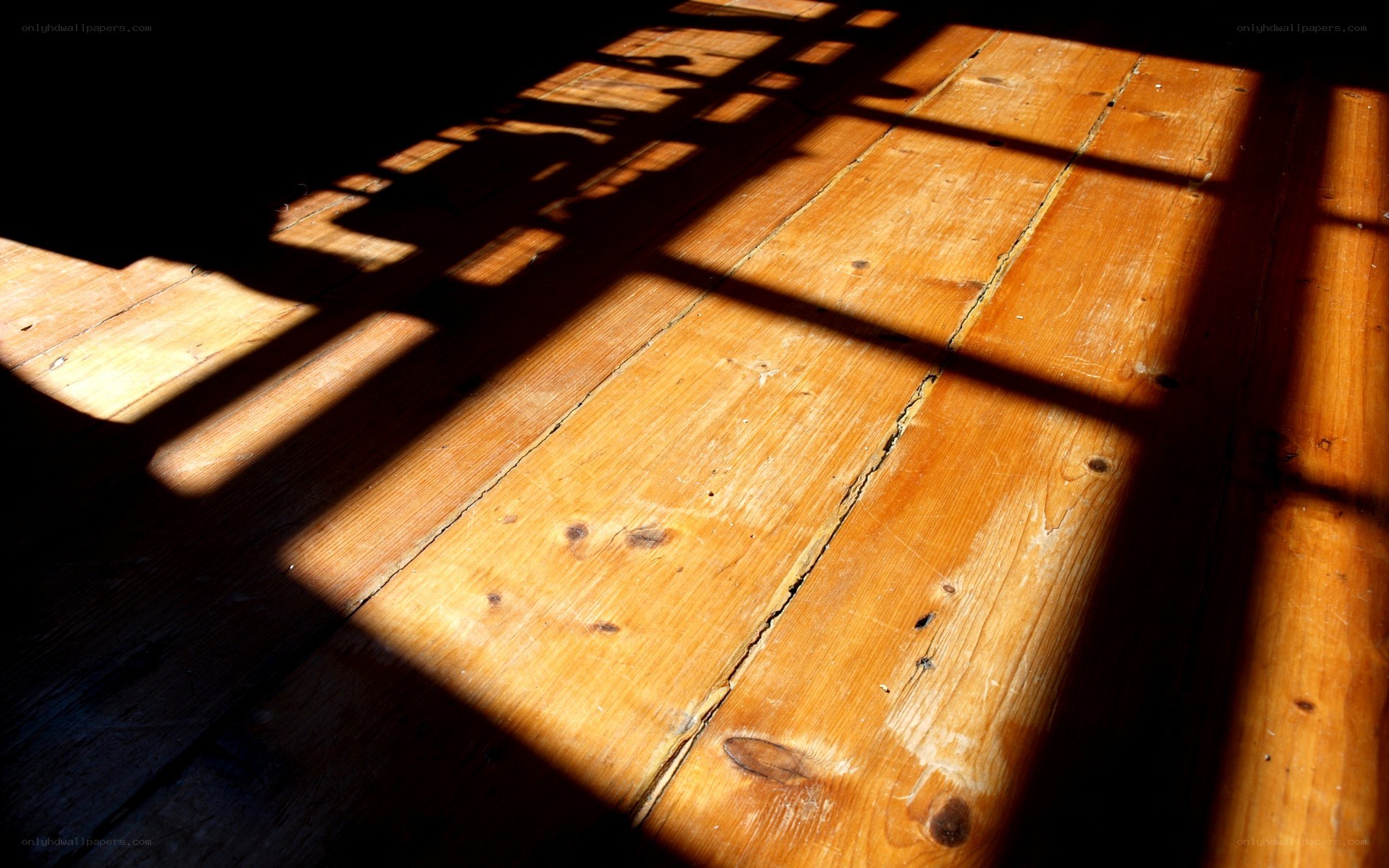 Sunlight on wooden floor