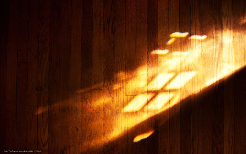 Sunlight on Wooden Floor — Brown