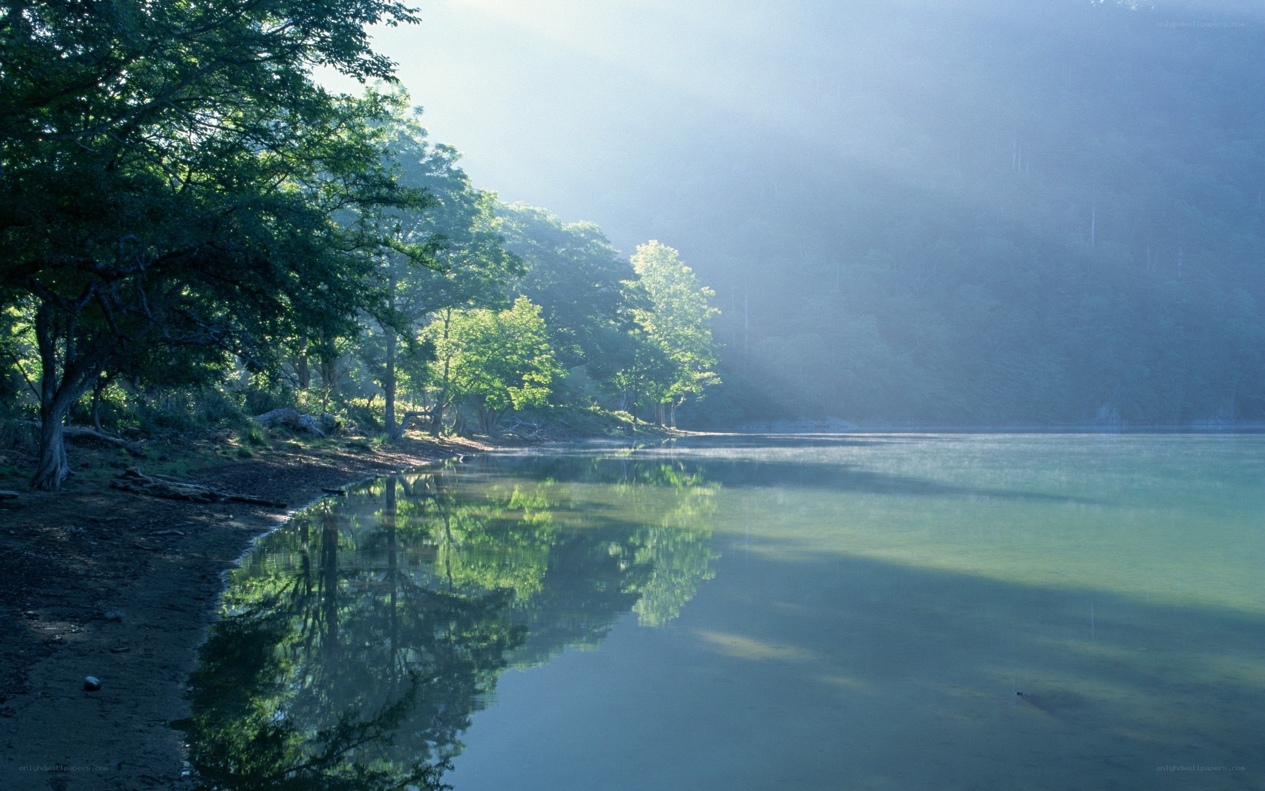 Sunlight over a calm lake
