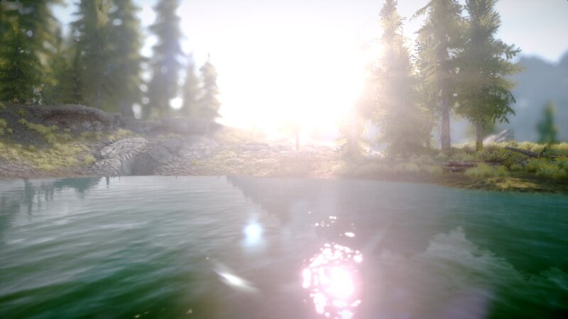 sunlight over a forest lake