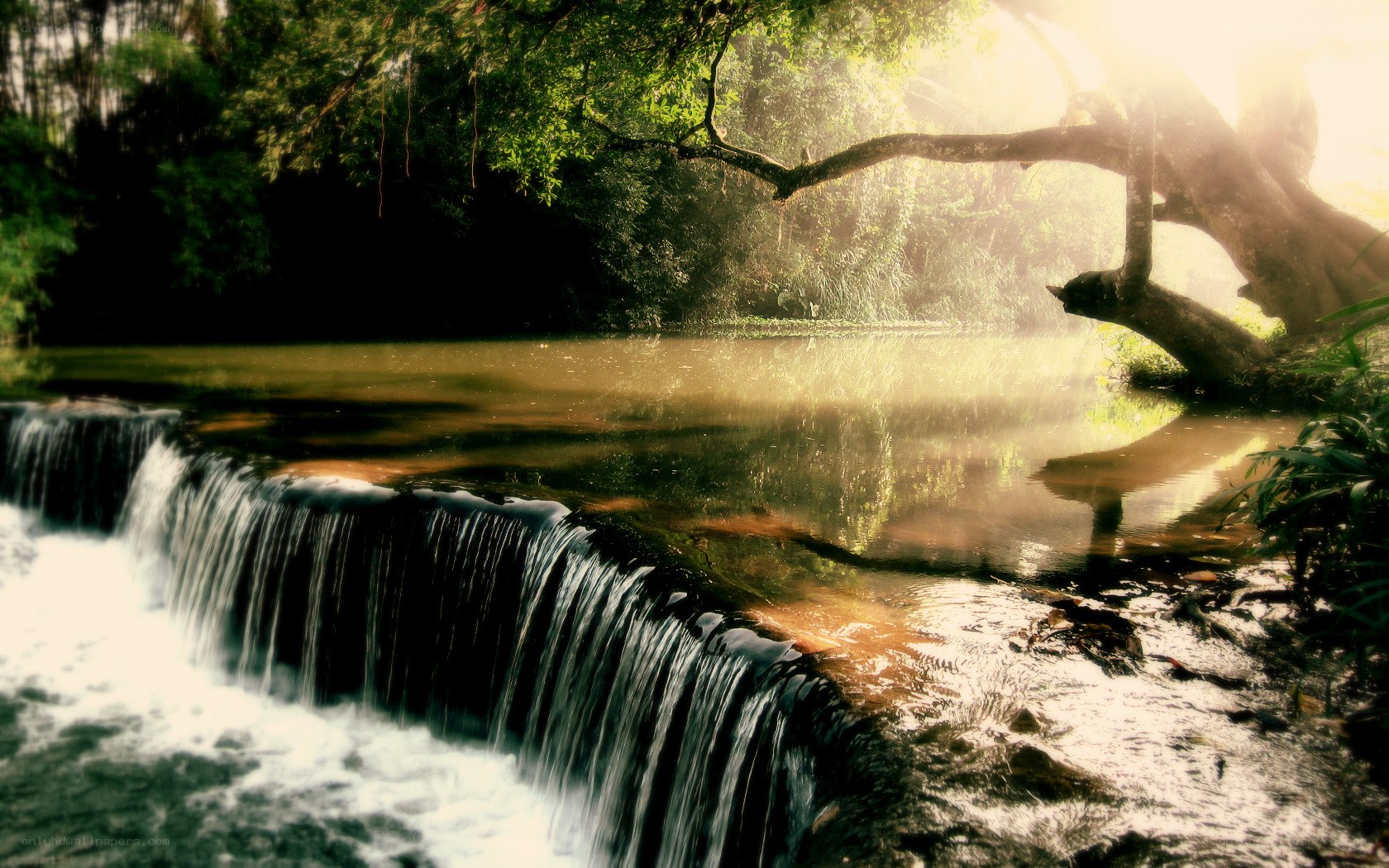 Sunlight over a forest waterfall