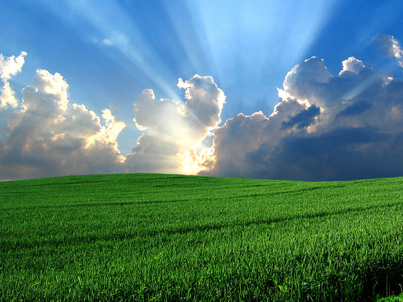 Sunlight over a green field