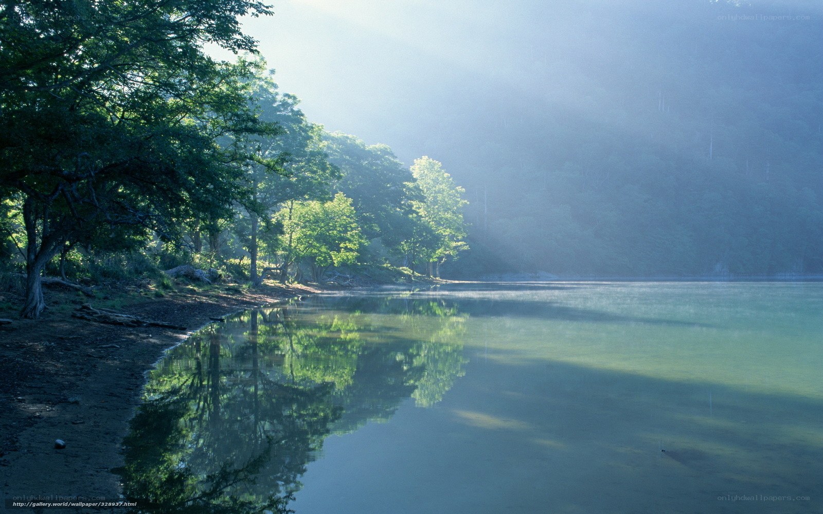 Sunlight over a misty lake