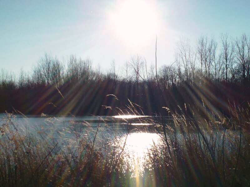 Sunlight over a Pond