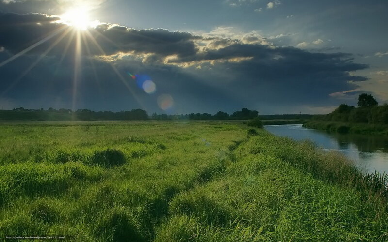 Sunlight over a river meadow