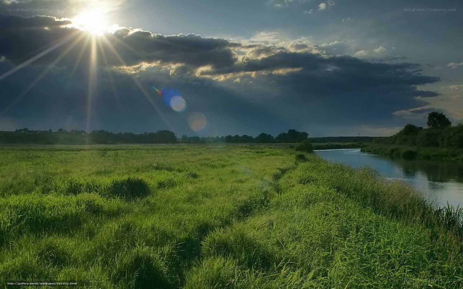 Sunlight over a river meadow
