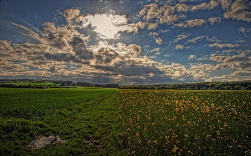 Sunlight over a rural field