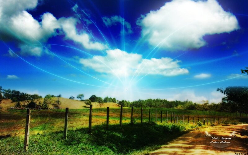 Sunlight over a rural path