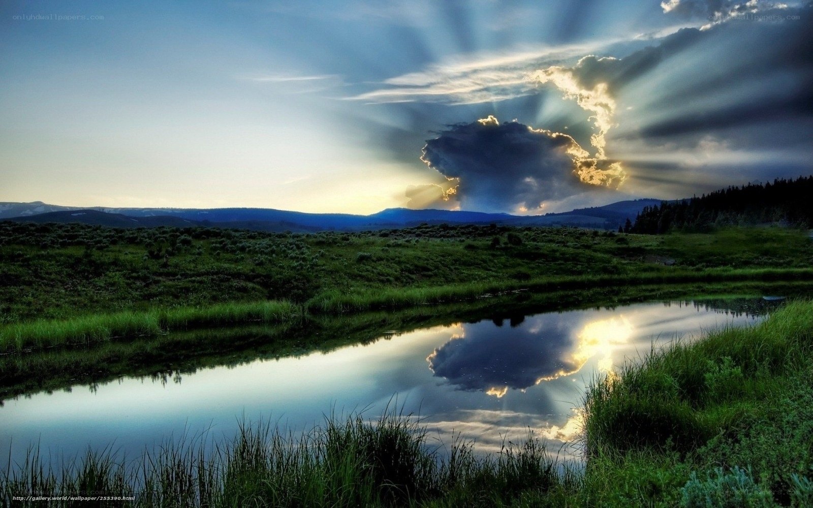 Sunlight over a tranquil pond
