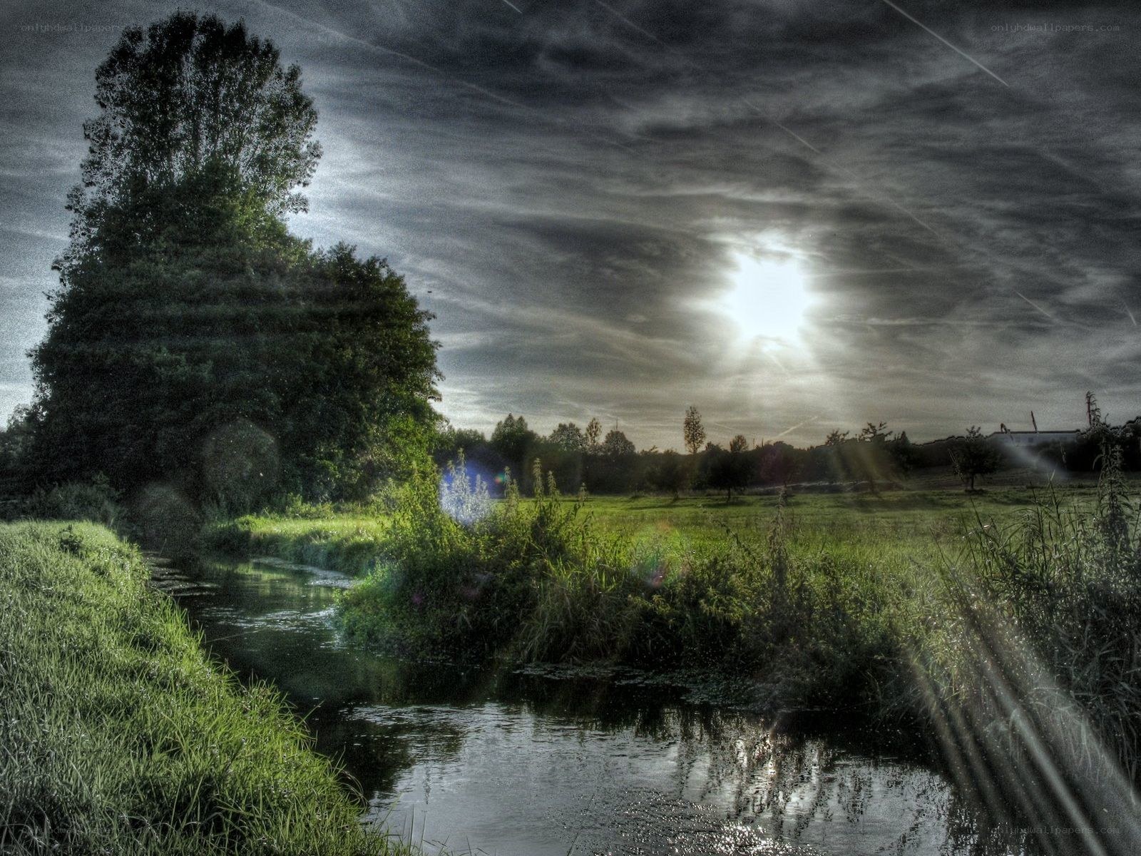 Sunlight over a tranquil river