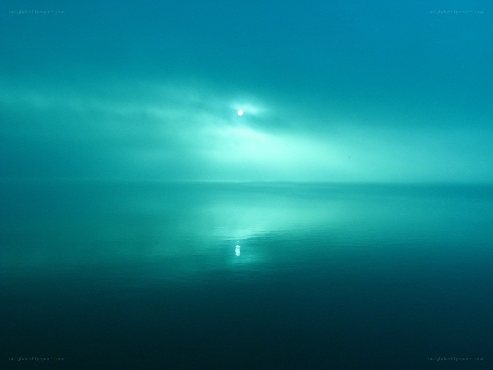 Sunlight over calm sea