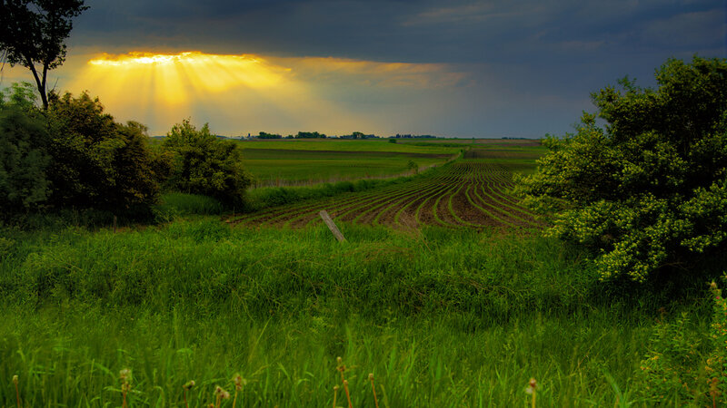 Sunlight over Farmland — Green
