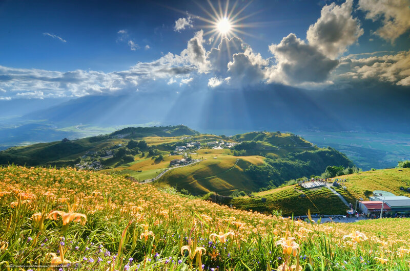 Sunlight over flower fields