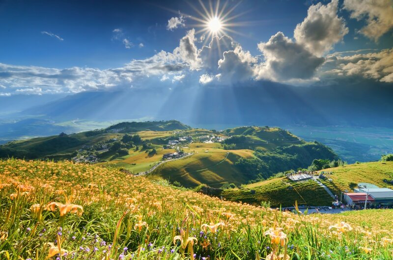 Sunlight over flower fields