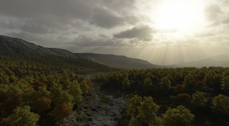 Sunlight over forest valley
